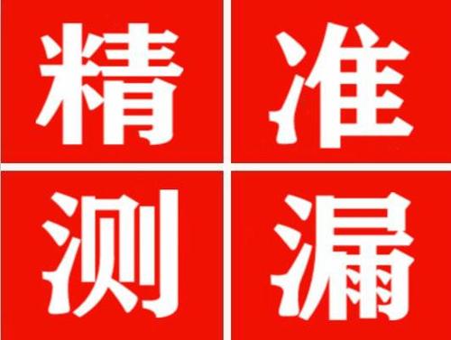 凌海尚嘉漏水精准查找